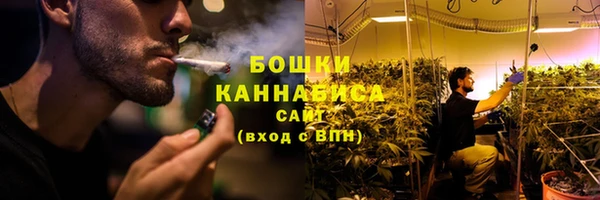 альфа пвп Няндома