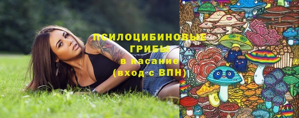 прущие грибы Нязепетровск