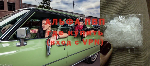 прущие грибы Нязепетровск