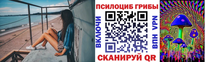 Псилоцибиновые грибы прущие грибы где можно купить наркотик KRAKEN tor Кудрово
