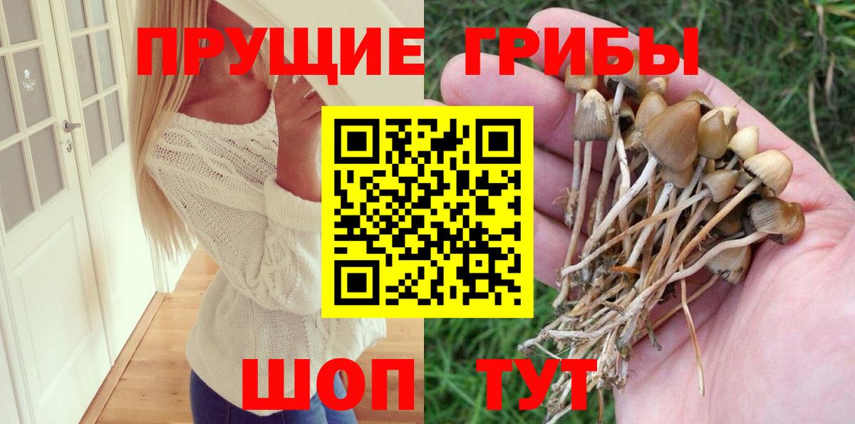 Псилоцибиновые грибы Psilocybine cubensis  Галлюциногенные грибы Psilocybine cubensis  купить  сайты  Кудрово  Вход с VPN 